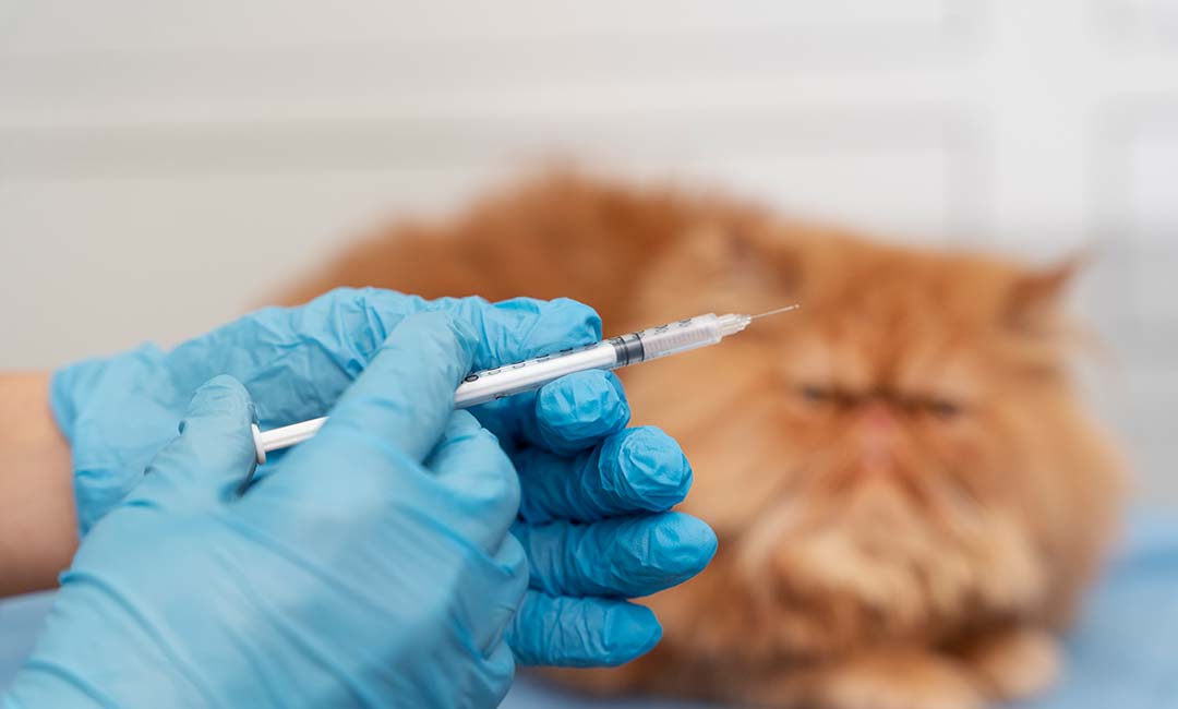 emvolio-se-katoikidia