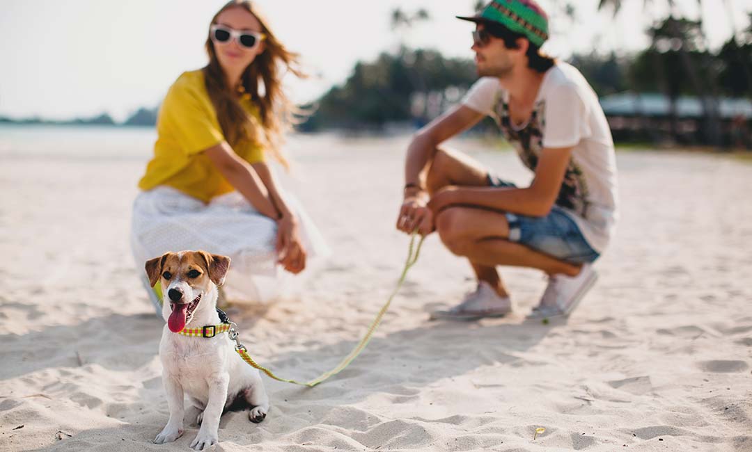 kindunoi-kalokairiou