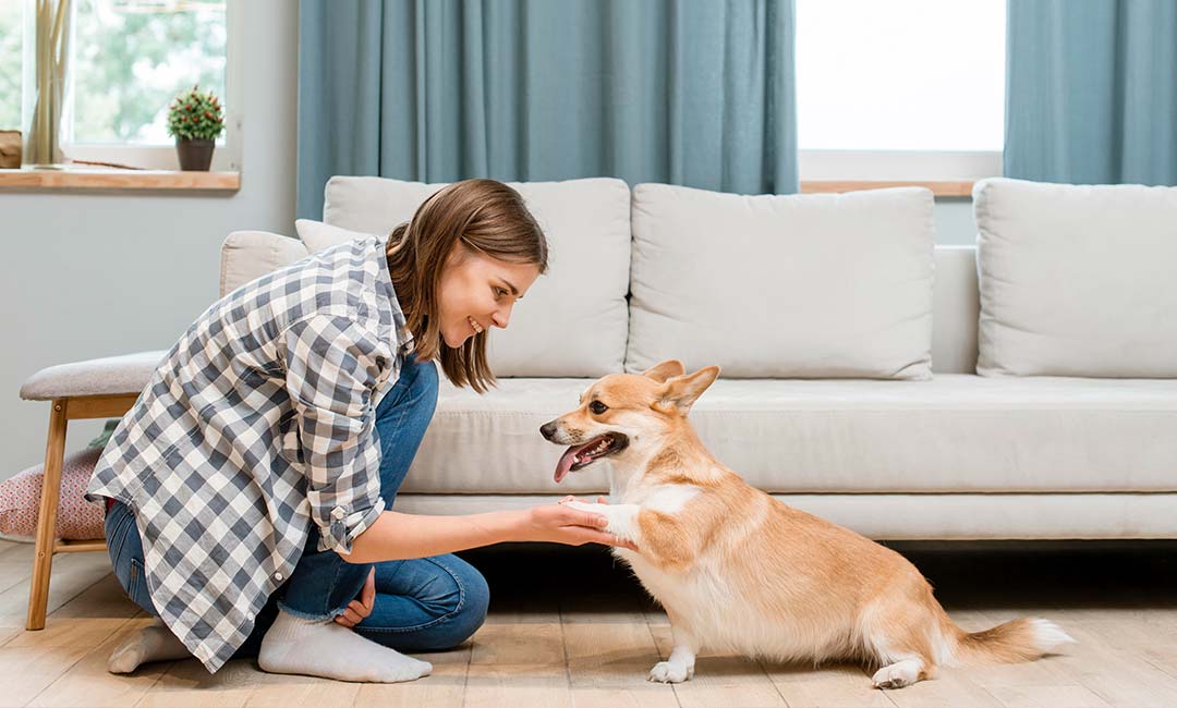 neo-katoikidio-sto-spiti