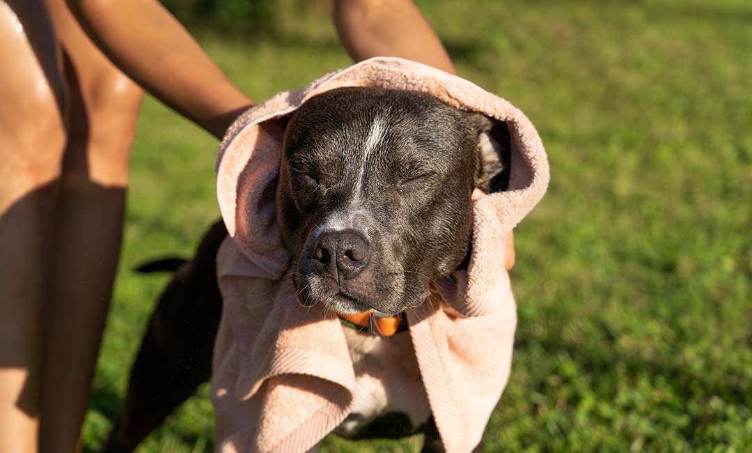 thermoplixia-katoikidiou